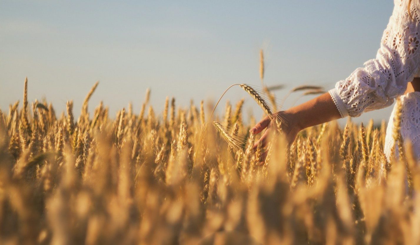 a woman standing in a field of wheat